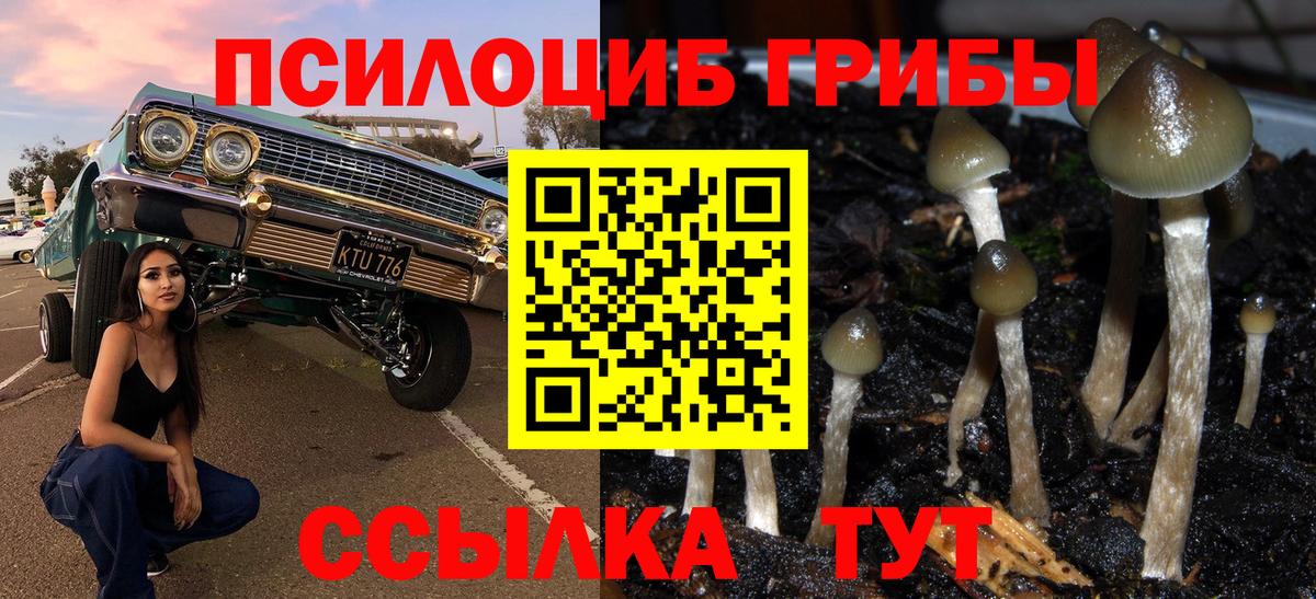 Галлюциногенные грибы Cubensis  Вход с VPN  Коммунар  Псилоцибиновые грибы мухоморы 